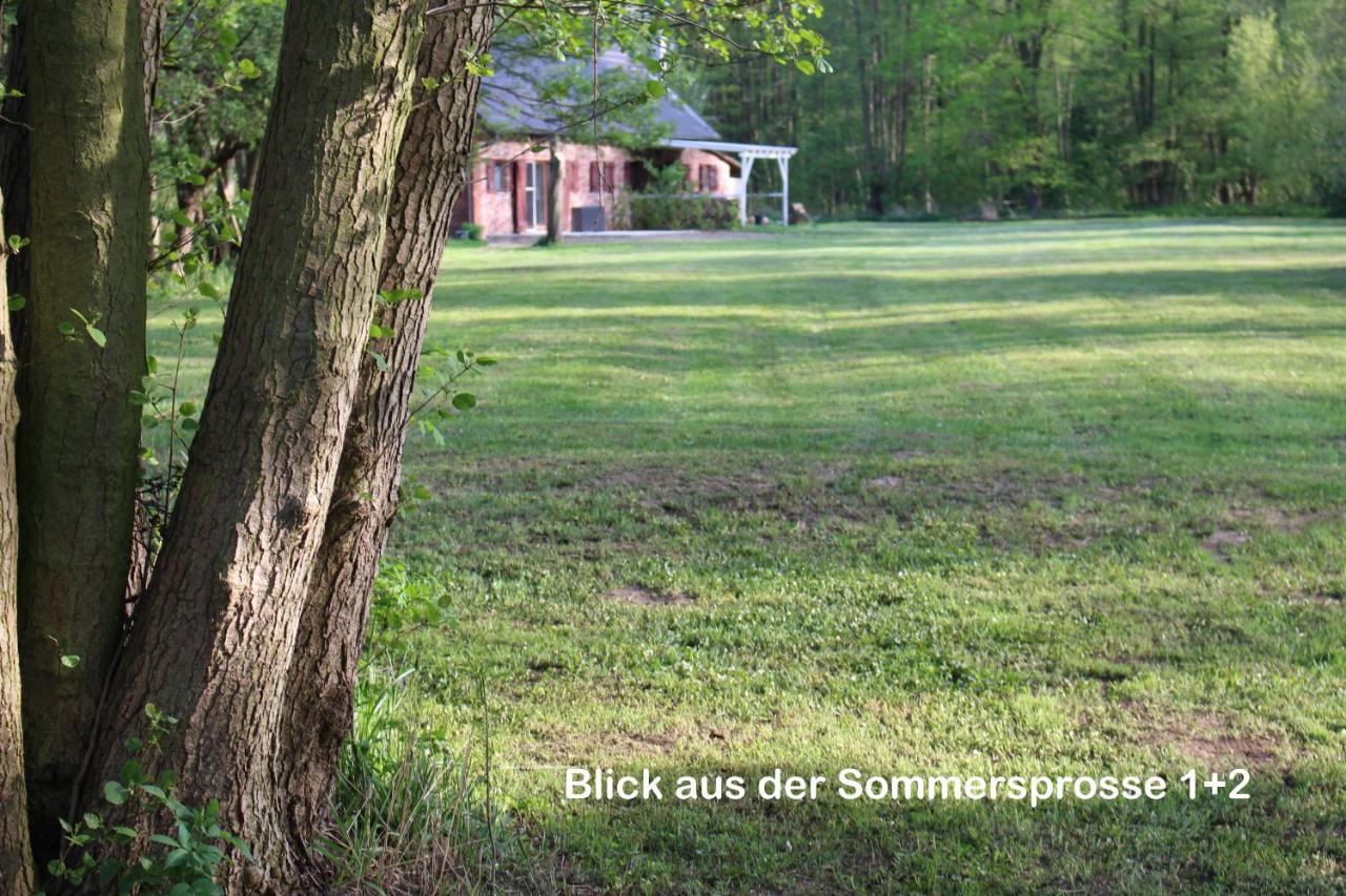 Sommersprosse Apartment