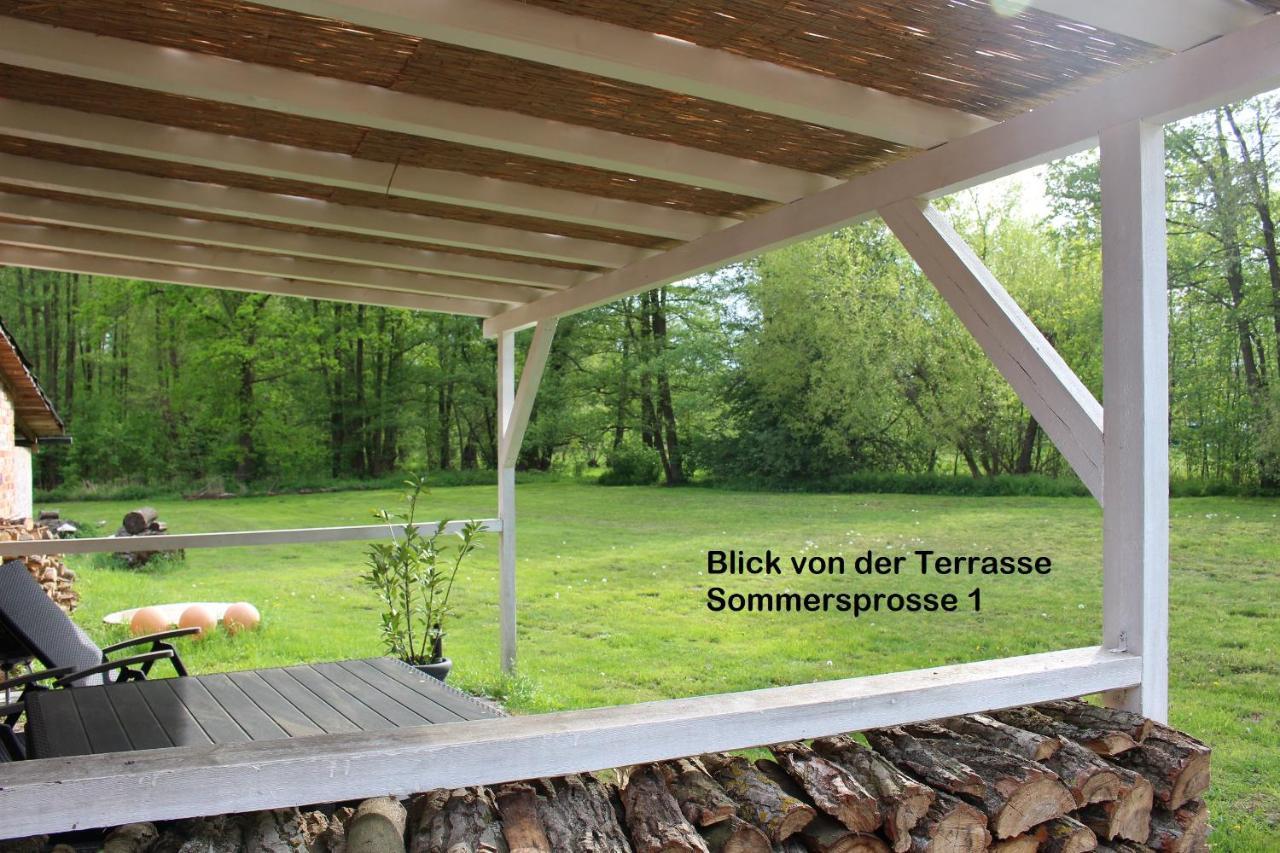 Sommersprosse * Burg (Spreewald)